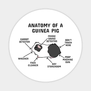 Anatomy of a Guinea Pig: Black and White Abyssinian (Black Text) Magnet